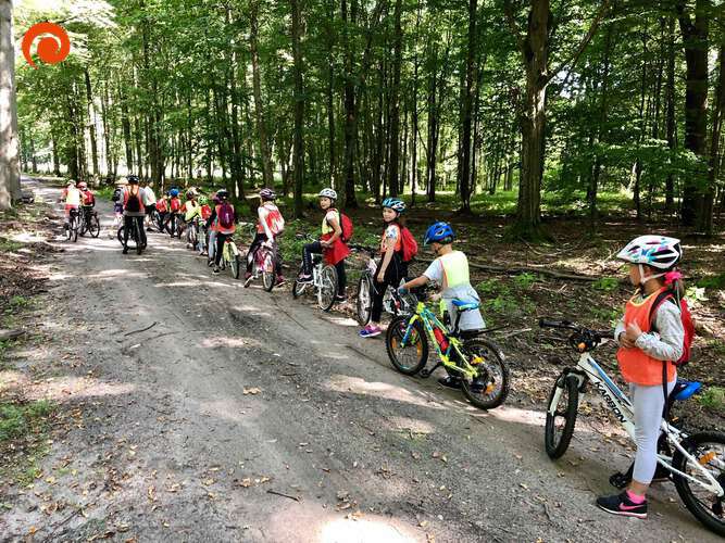 LETNI OBÓZ 2019 - galeria. plik: IMG_4006.jpeg