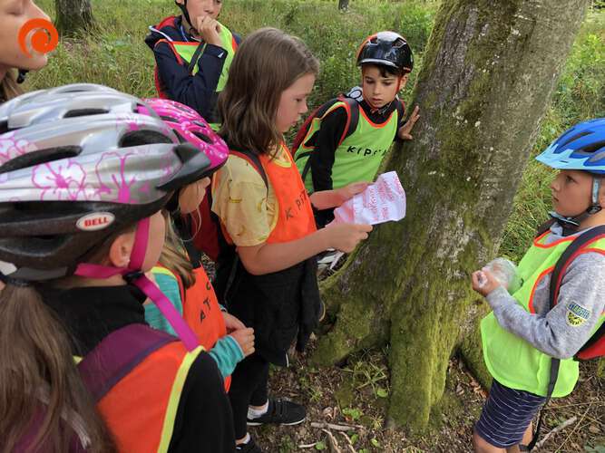 LETNI OBÓZ 2019 - galeria. plik: IMG_4506.jpeg