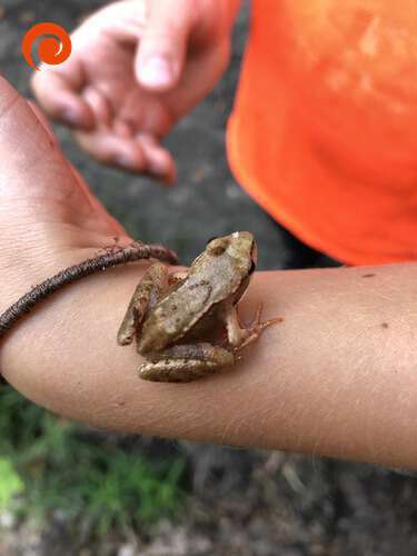 LETNI OBÓZ 2019 - galeria. plik: IMG_4530.jpeg