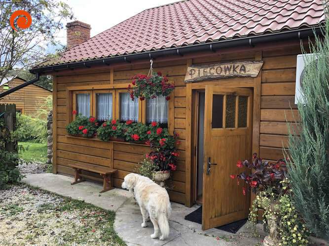 Zimowy obóz Activity 2020 - Szwajcaria Bałtowska. plik: IMG_6776.jpg