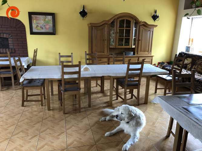 Zimowy obóz Activity 2020 - Szwajcaria Bałtowska. plik: IMG_6784.jpeg